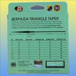 Bermuda Lost Tip Rear.jpg