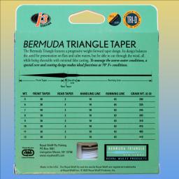 Bermuda 2 Tone Rear.jpg