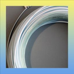 Bermuda Lost Tip Line.jpg